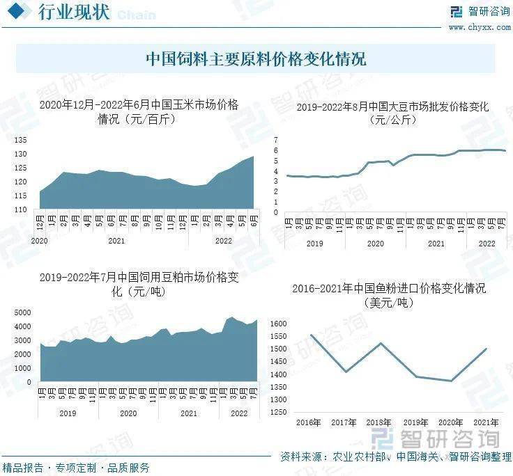 中国饲料原料信息网的深度探索