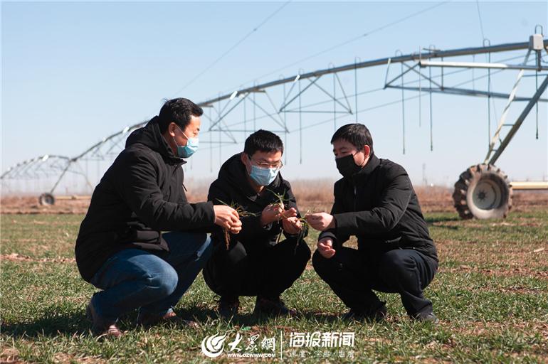 体彩排列五直播，实时体验，尽在掌握