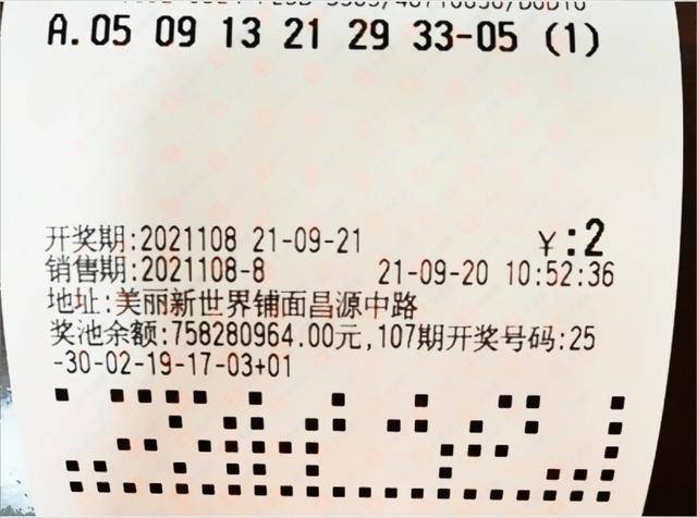 双色球第53期开奖结果查询，揭晓幸运数字的魅力与期待