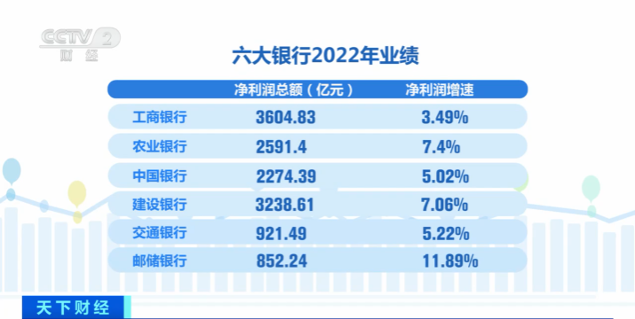 新澳六2004开奖记录，回顾与解析