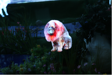 赵公明3D专家预测汇总，深度分析与前瞻展望