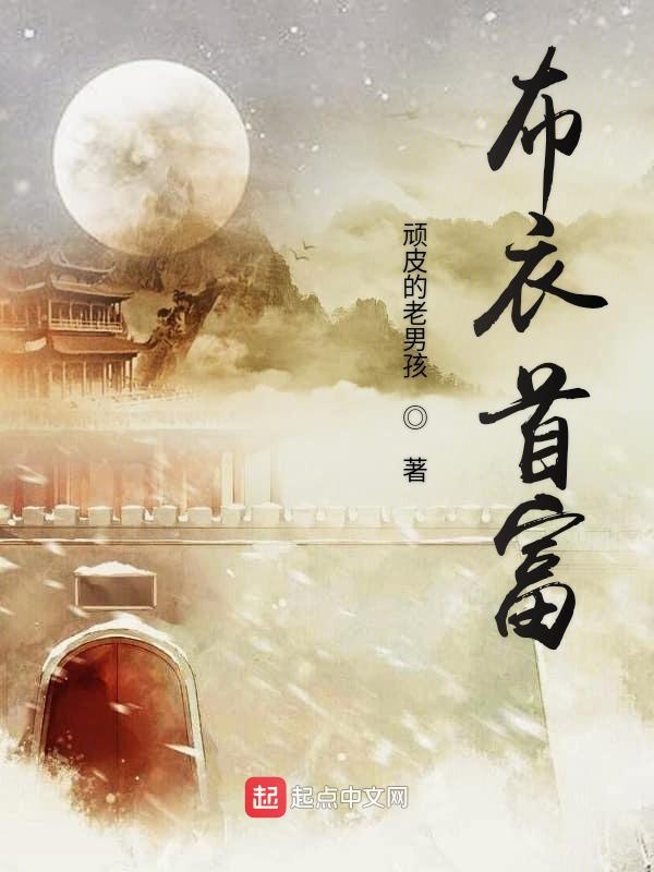 布衣官道全文免费阅读，探索古代官场文化的独特视角