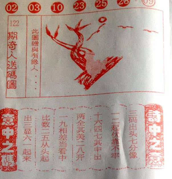 双色球全国联销图谜平台，探索与解析
