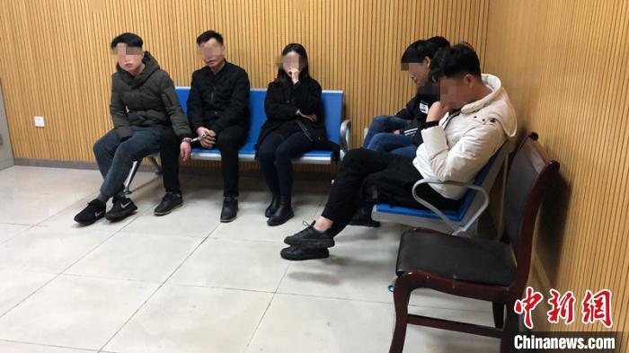 官方彩票网站网址大全——彩票玩家的首选指南