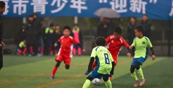 免费足球推荐单，探索全球顶级足球赛事与精彩对决