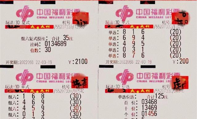 福利彩票3D解太湖字谜汇总，探索字谜背后的奥秘与乐趣