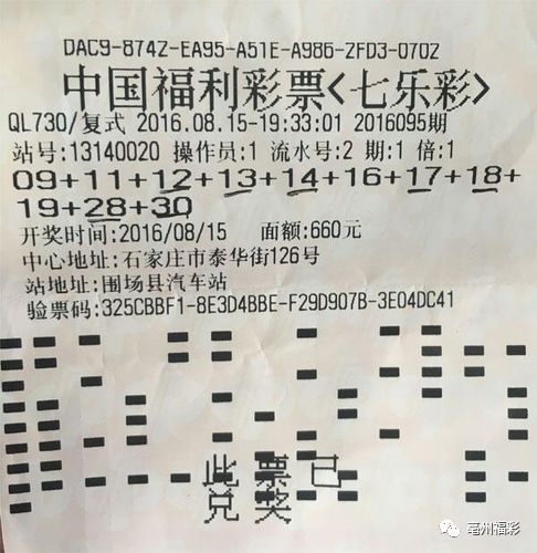 鑫彩网彩票，探索数字世界的幸运之门