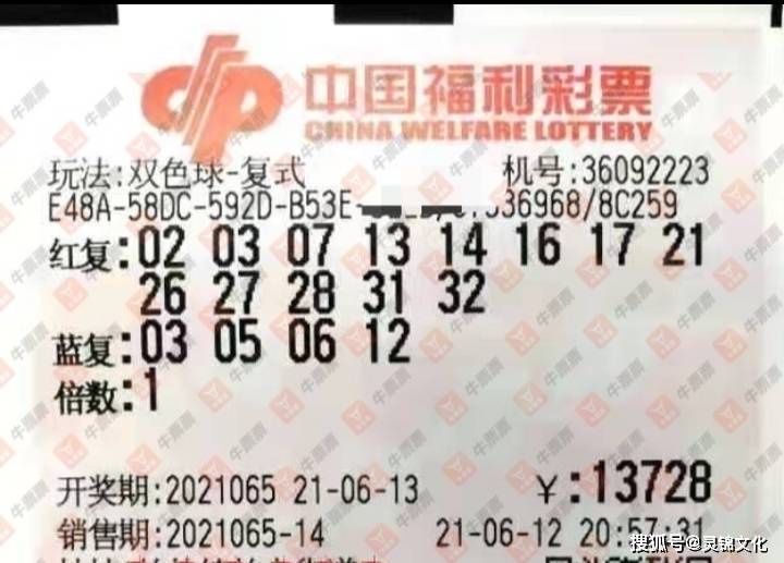 澳门 第225页