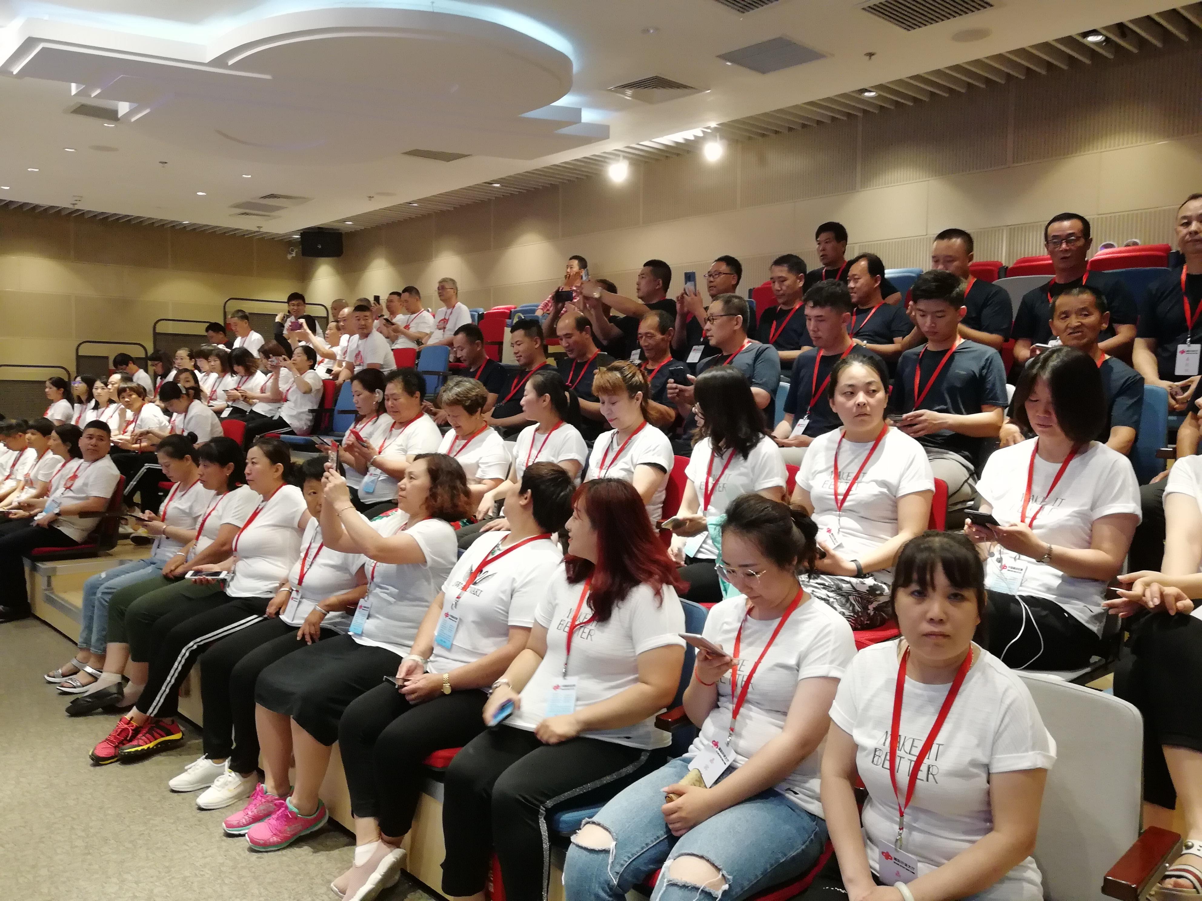 双色球开奖结果走图，揭秘彩票背后的科技力量与艺术美感