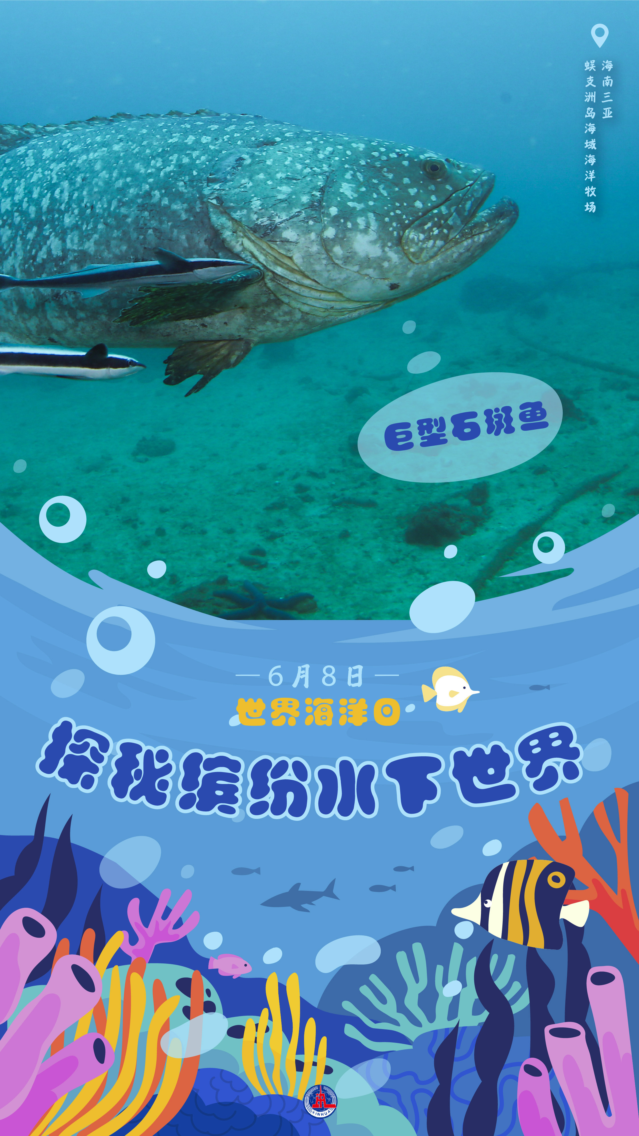 探索2022正版免费全年资料的海洋，无限学习的可能性