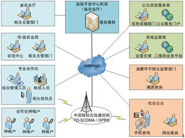 视图方式的多样性，探索几种主要的视图类型及其应用场景