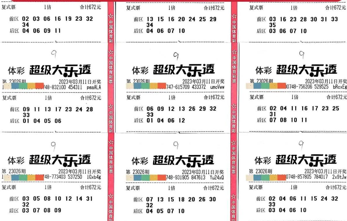 双色球复式投注的魅力与价格解析——以82复式为例