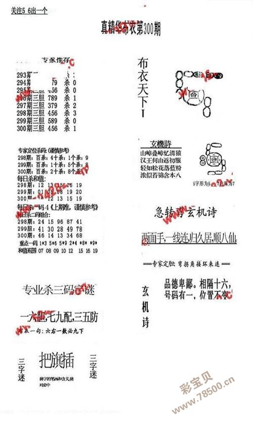 真精华布衣图库四合一，探索与赏析