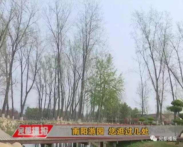 深圳风采今日开奖结果查询——探寻幸运之门背后的故事