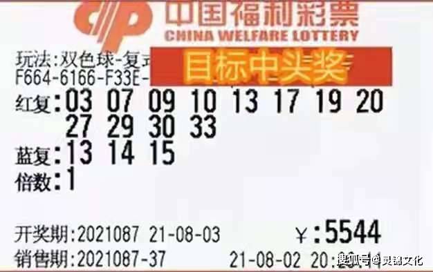 双色球13号的神秘魅力与幸运之旅