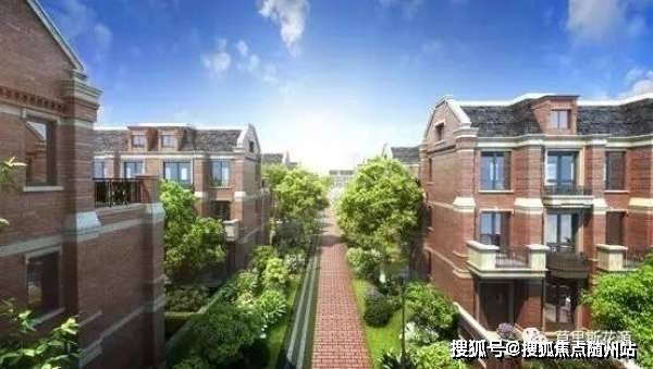 皇冠比分(24500)走地赔，深度解析与策略探讨