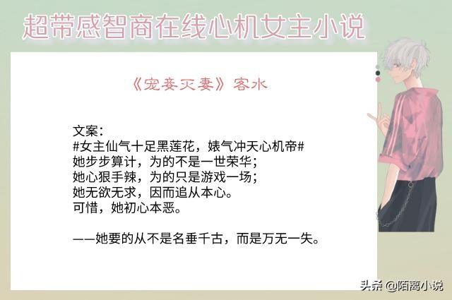明月珰与七星彩的魅力，一种神秘与希望的交织