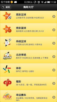 江苏体彩电脑版，探索数字彩票的新时代体验