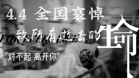 举国哀悼，共同缅怀逝去的生命