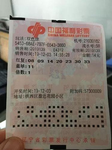 机遇并存