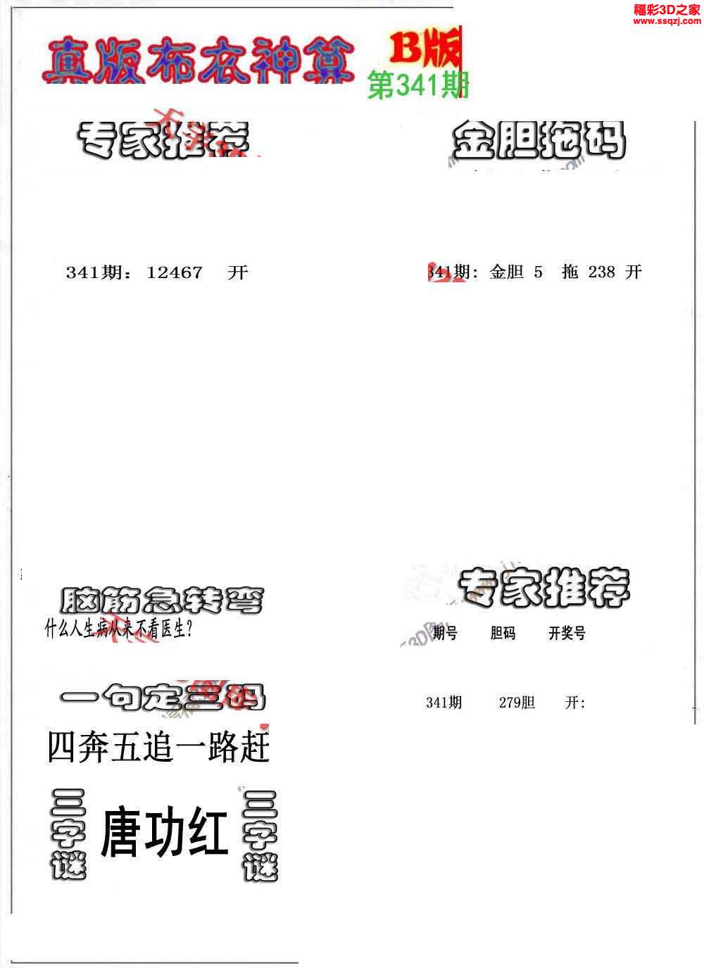 布衣独胆王3D图谜解析，探索神秘图案背后的故事