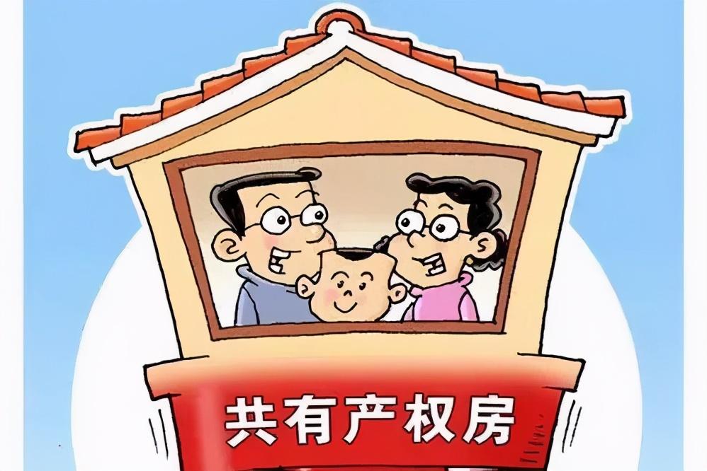 上海十一选五开奖结果官方发布及解读