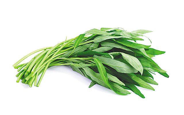 空心菜与双色球的奇妙世界