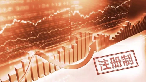新浪十五选五，探索与机遇的完美结合