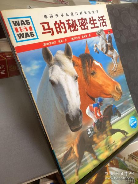 今晚的开马结果揭晓，探寻特马的奥秘