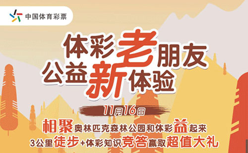 中国体育彩票发行唯一官方网站——迈向新时代的彩票事业之光