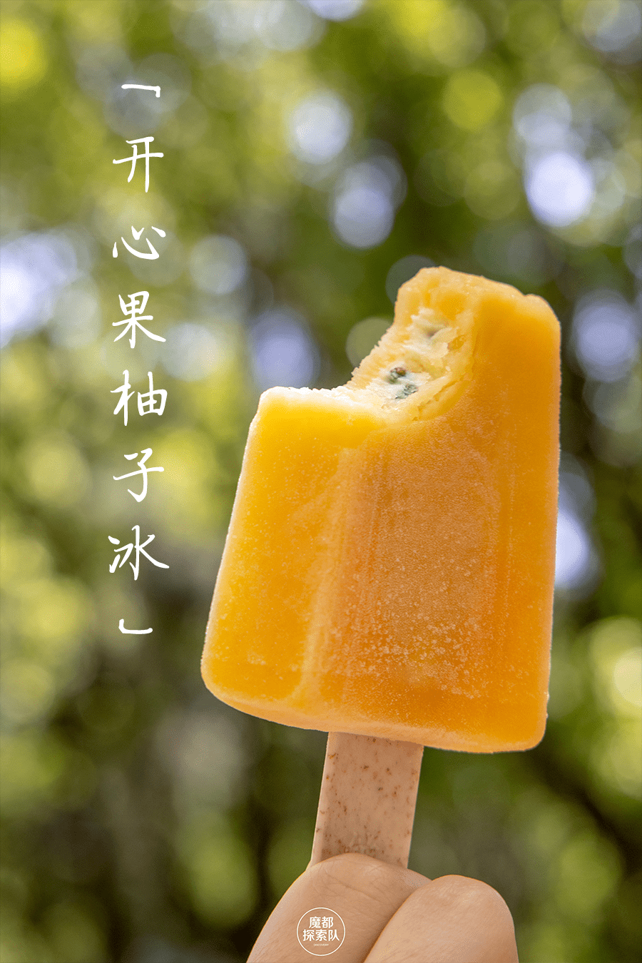 太湖石图片，自然之美的独特展现