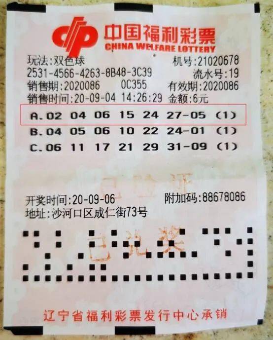 双色球2004年第009期开奖结果查询，揭秘幸运数字的魅力