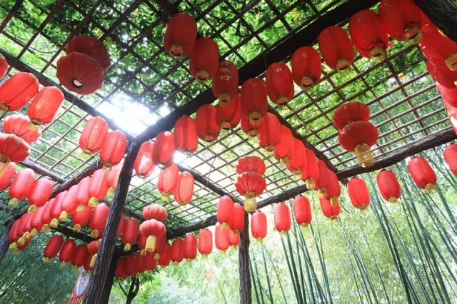 足彩馆中的风铃，一种独特的体验与回忆