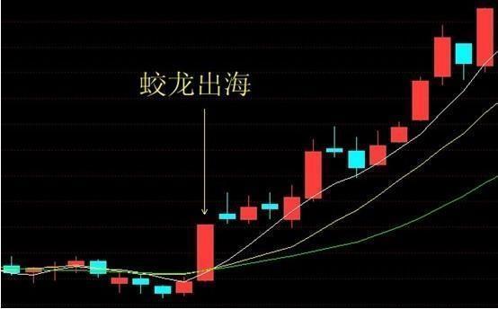 基础K线图解析与应用