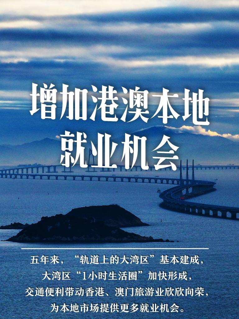 澳门平特一肖中奖倍数揭秘，梦想与现实交织的幸运故事