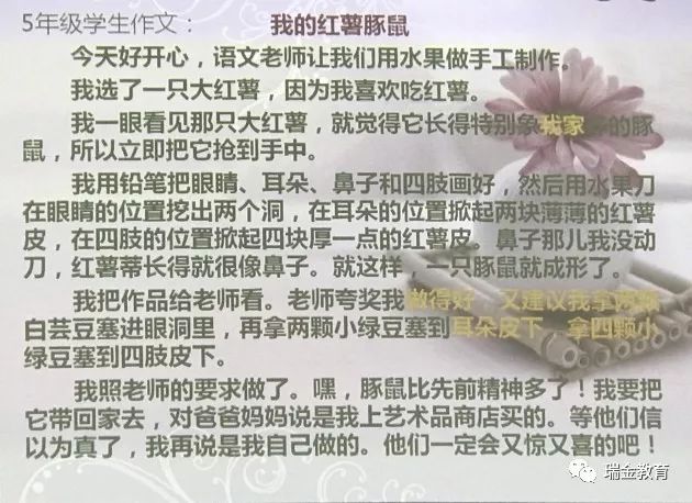 南粤风彩七星彩的走势探索与周日盛宴