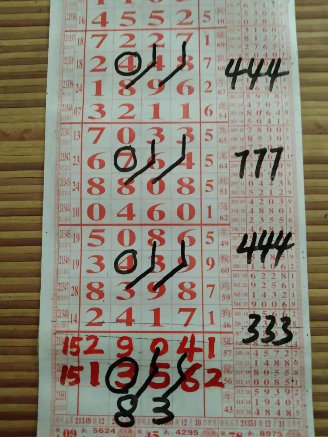 探索排列五最近100期历史号码，模式与趋势分析