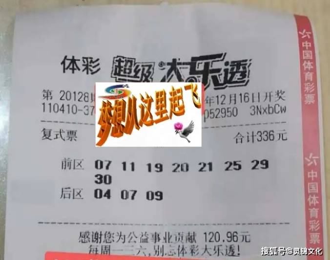 大乐透走势图带连线综合专业版，探索彩票走势的奥秘