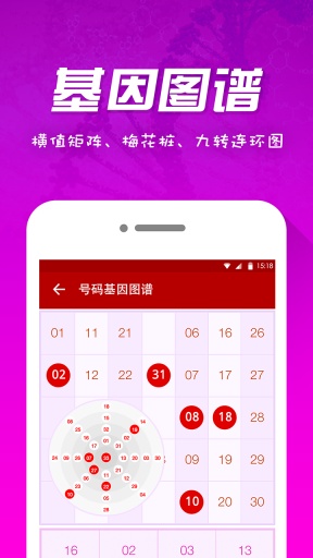 结果分析