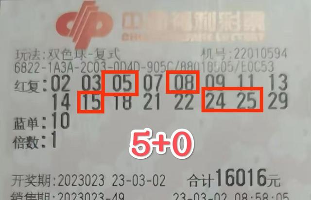福利彩票2023年第二十期，揭晓中奖号码的神秘之旅