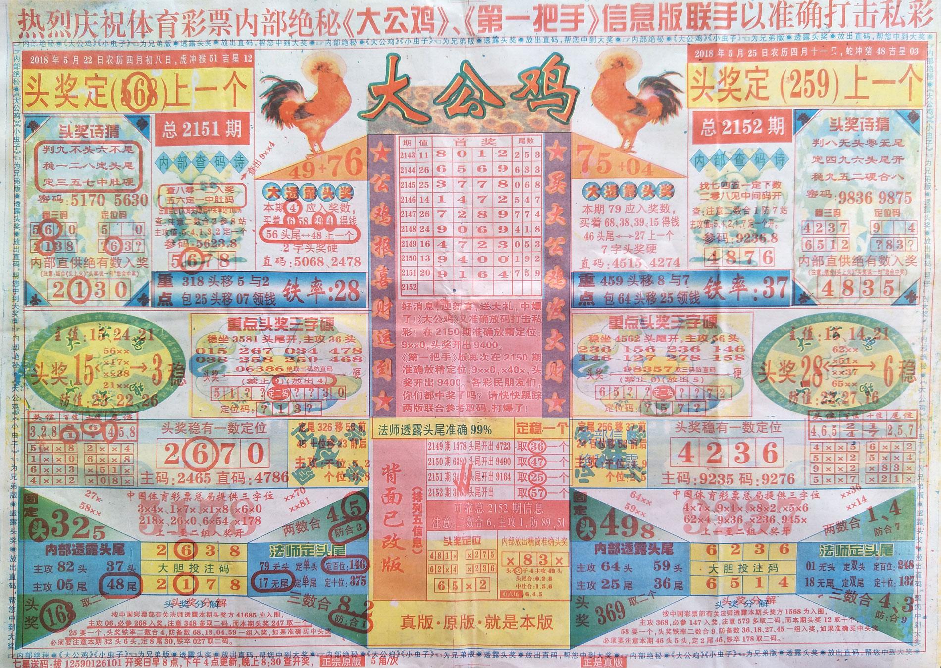 七星彩最新开奖公告808，揭秘数字背后的故事与期待