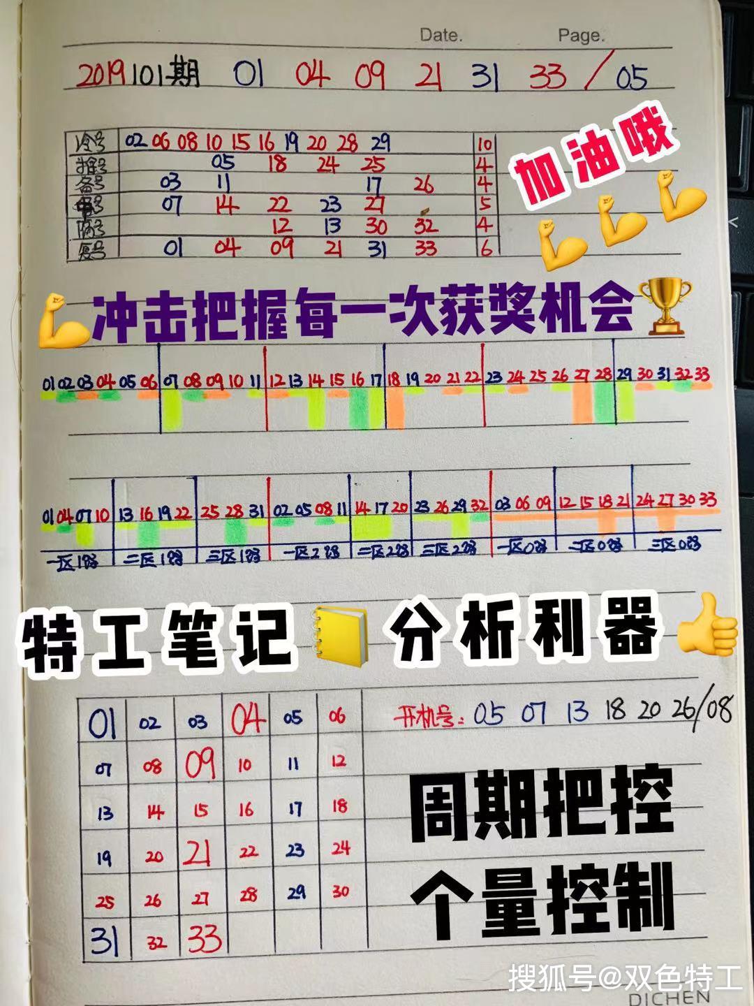 今日双色球开奖号码3D，探索彩票世界的神秘与期待