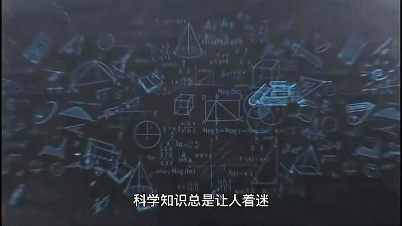这两个关键词能够很好地概括你提供的内容
