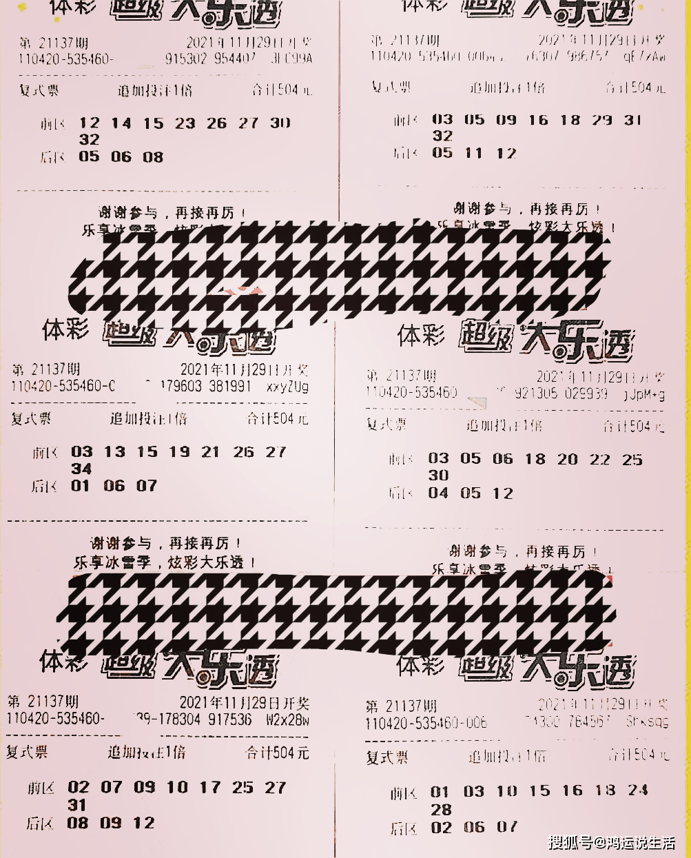 拾柴七星彩，今晚开奖结果的神秘面纱揭晓