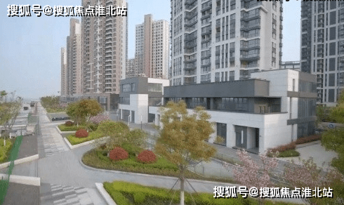 双色球走势开奖视频最新分析与观察