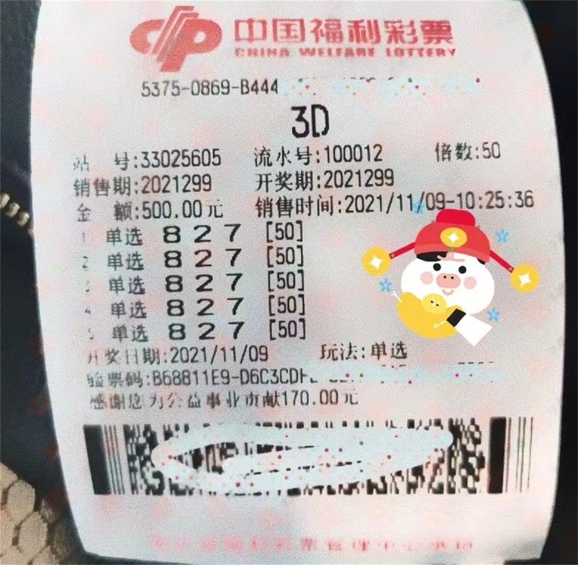 中国福利彩票的中奖结果，梦想与现实的交汇点