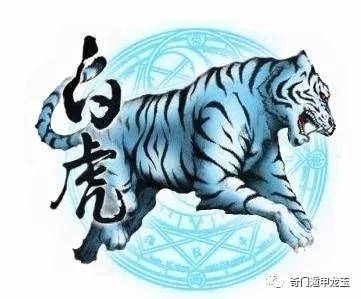 澳门白虎玄机图，历史、文化及其深层含义