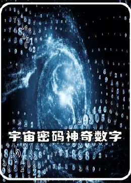 试机号码银海工作室，探索数字世界的奥秘与魅力