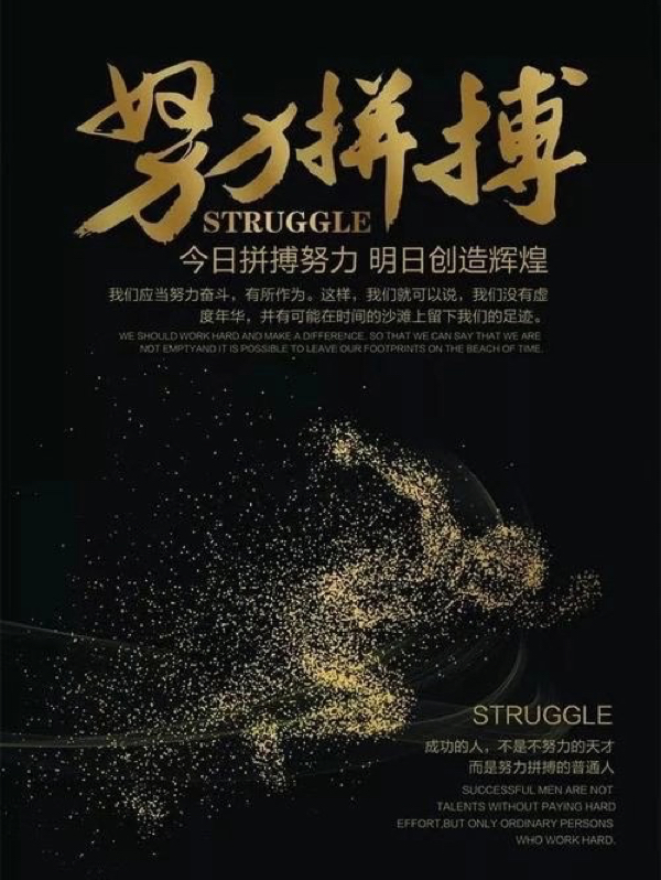 拼搏在线手机版下载，探索与进步的驱动力