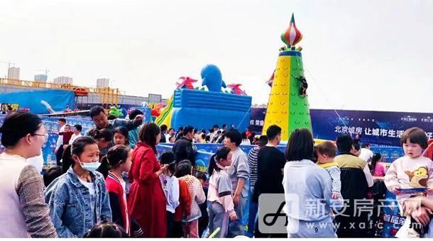 折江十一选五的精彩世界